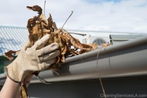 Gutter Cleaning