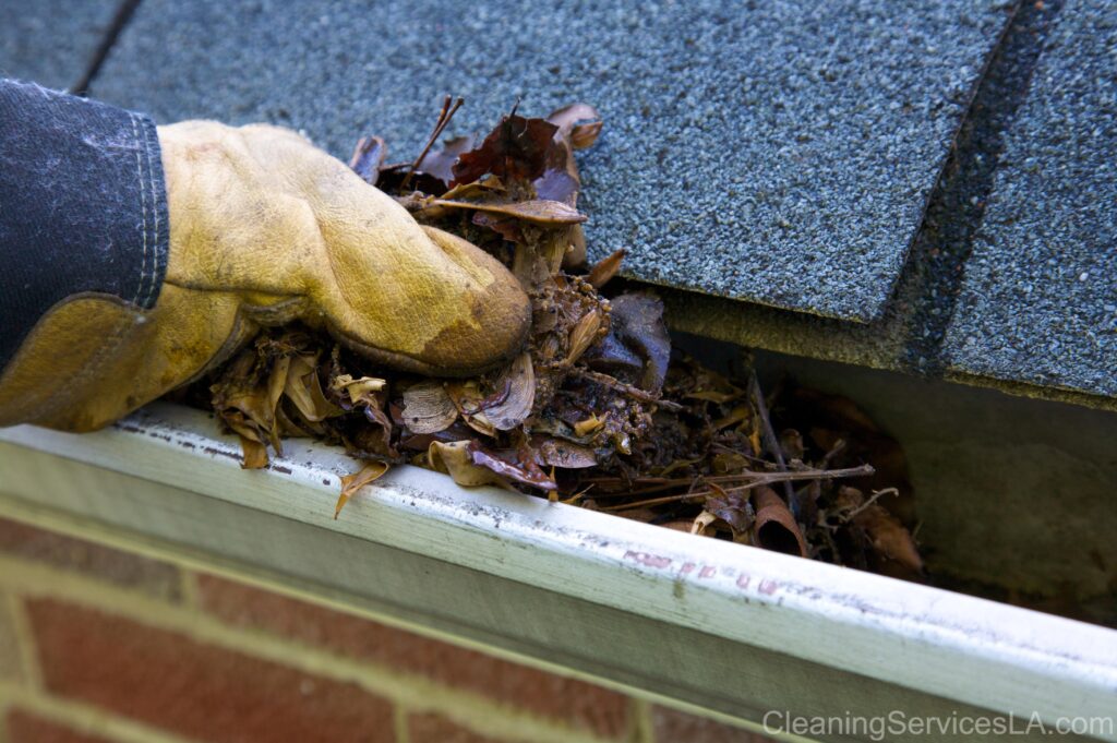 Gutter Cleaning