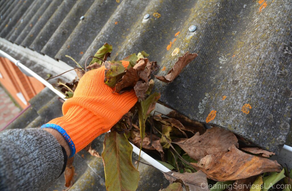 Gutter Cleaning