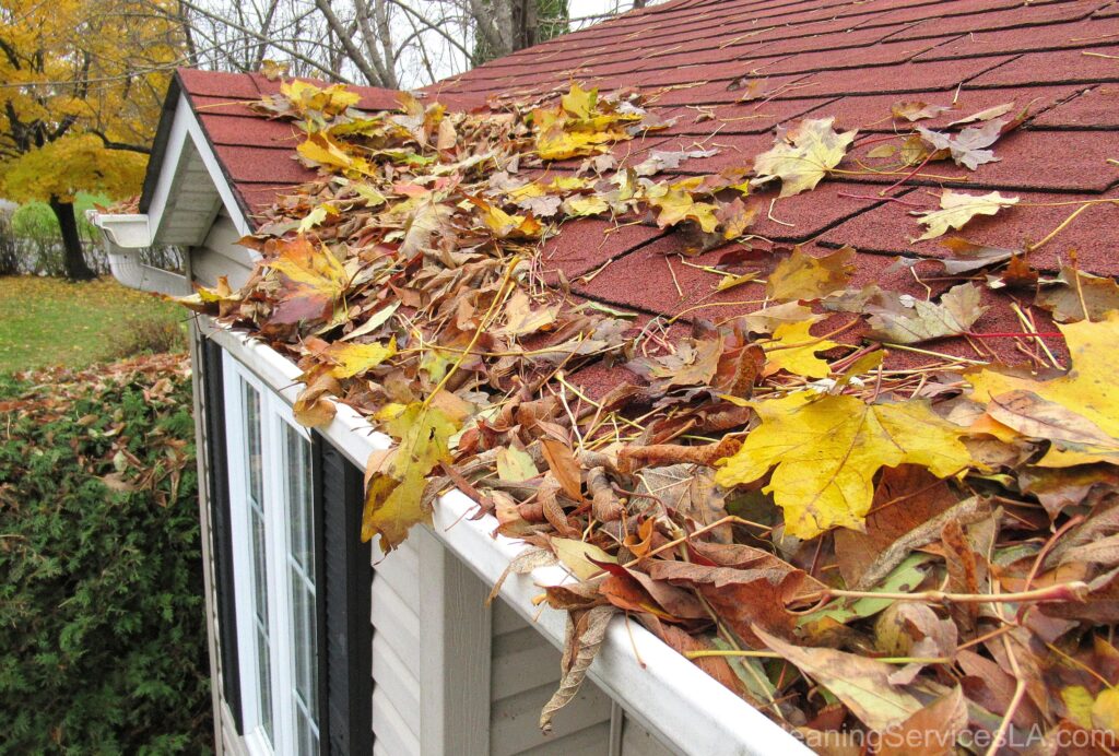 Gutter Cleaning