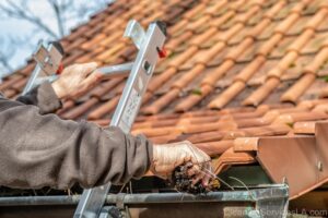 Gutter Cleaning