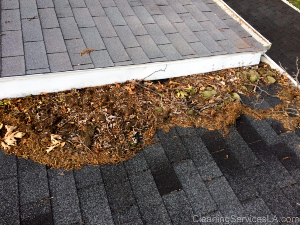 Gutter Cleaning