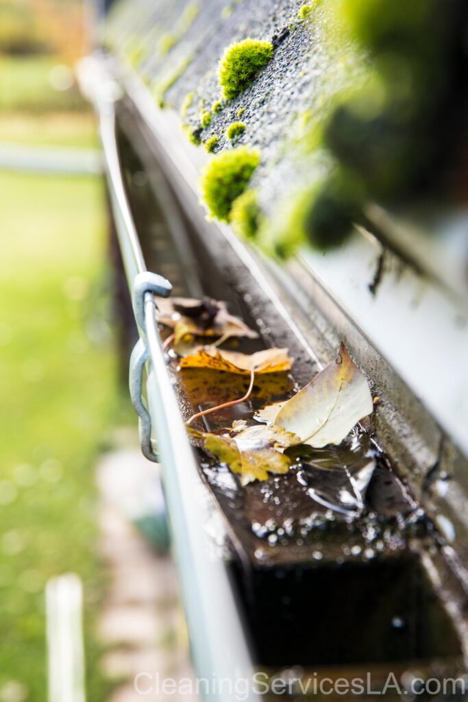 Gutter Cleaning