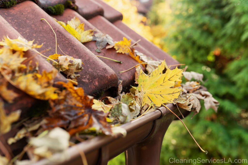 Gutter Cleaning