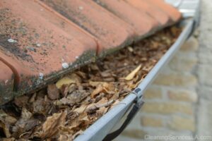 Gutter Cleaning