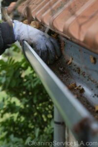 Gutter Cleaning