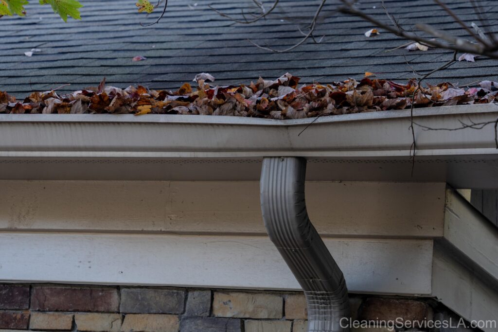 Gutter Cleaning