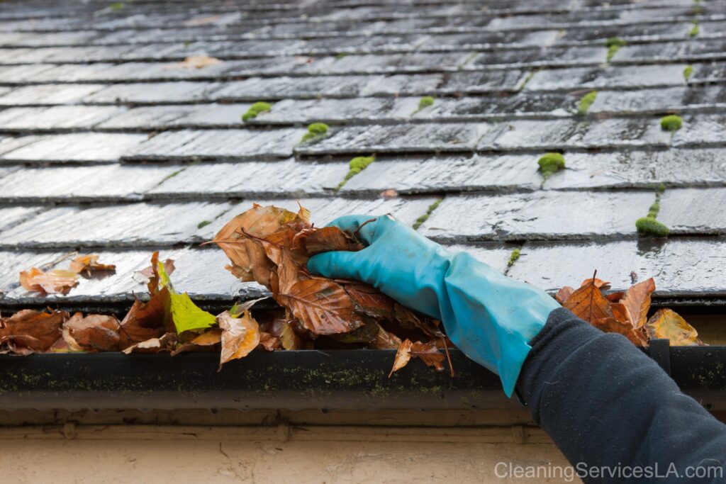 Gutter Cleaning