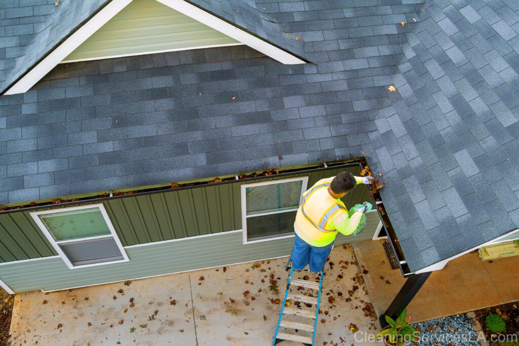 Gutter Cleaning