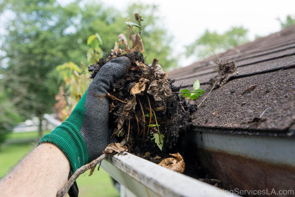 Gutter Cleaning