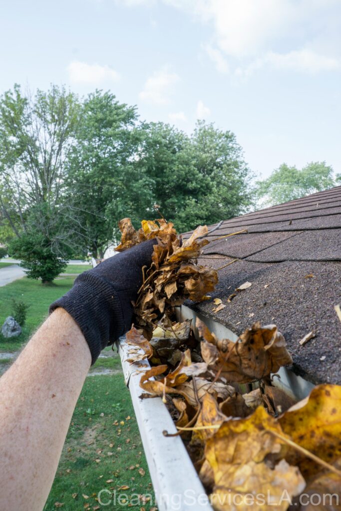 Gutter Cleaning