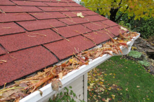 Clogged Gutter Cleaning