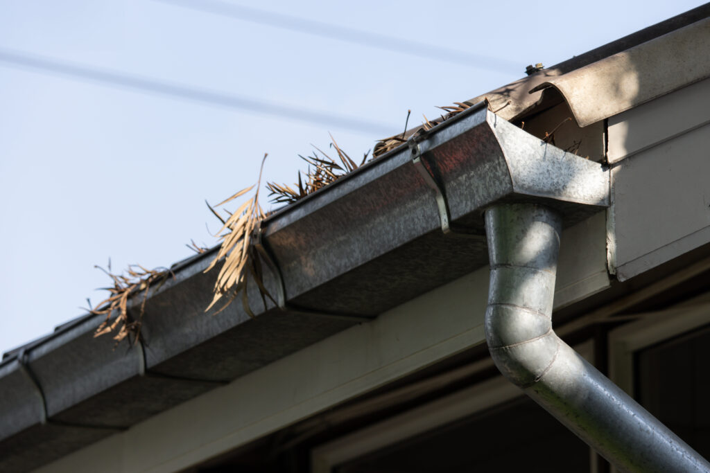 Rain Gutter Clogged