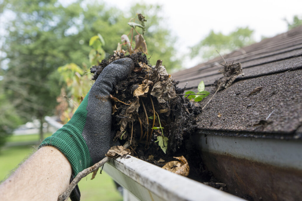 San Fernando Valley Gutter Cleaners