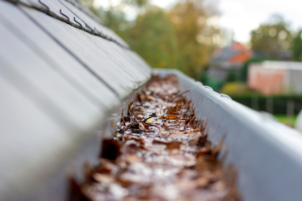 San Fernando Valley Gutter Cleaning